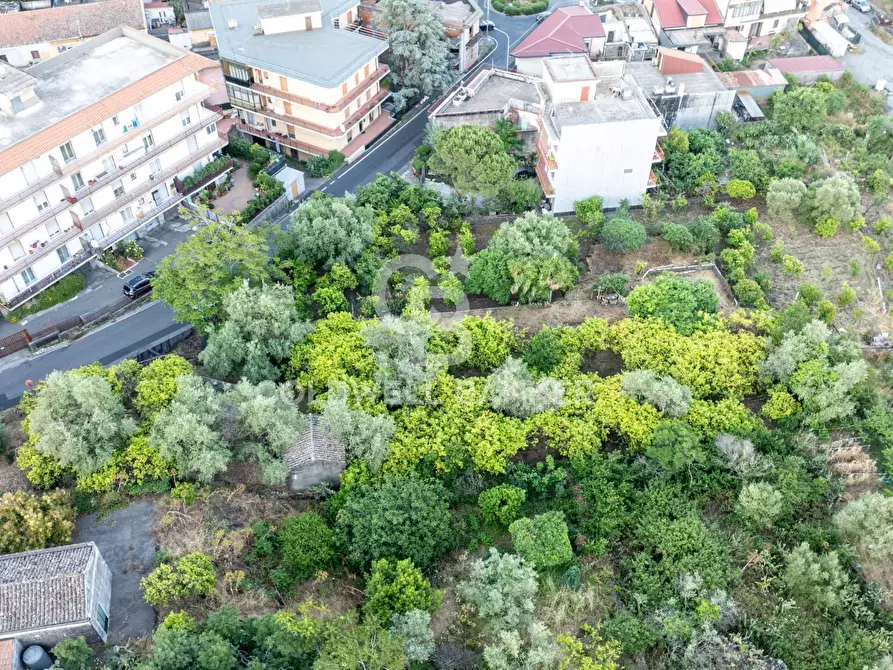 Immagine 22 di Terreno residenziale in vendita  in Via Fondannone snc a Milo