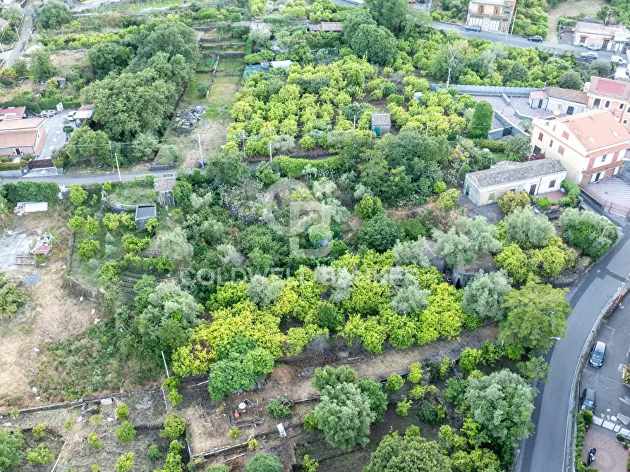 Immagine 24 di Terreno residenziale in vendita  in Via Fondannone snc a Milo