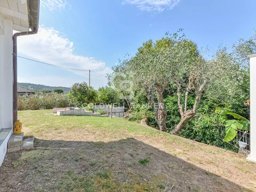 Immagine 26 di Villa in vendita  in Loc. Schiopparello a Portoferraio