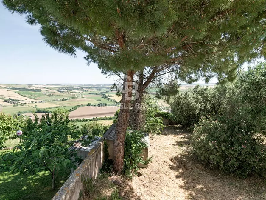 Immagine 11 di Casa indipendente in vendita  in Via San Fortunato 108 a Tarquinia