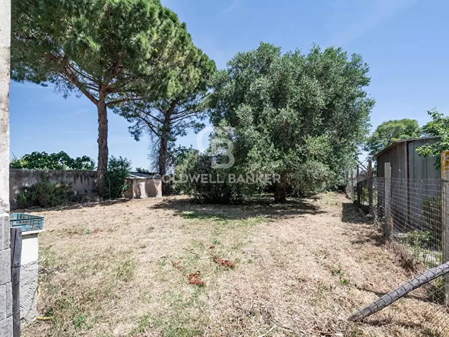 Immagine 32 di Casa indipendente in vendita  in Via San Fortunato 108 a Tarquinia