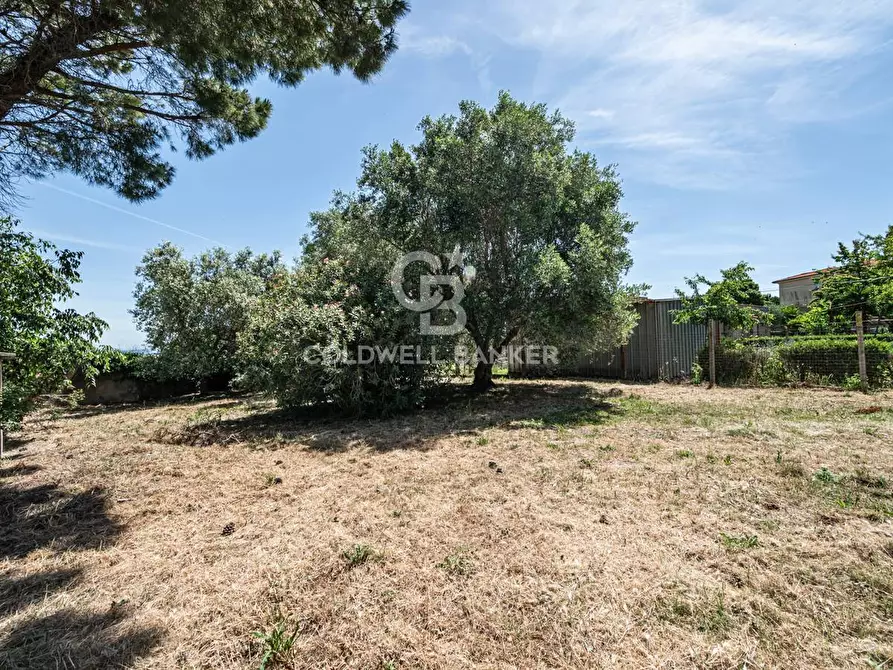 Immagine 33 di Casa indipendente in vendita  in Via San Fortunato 108 a Tarquinia