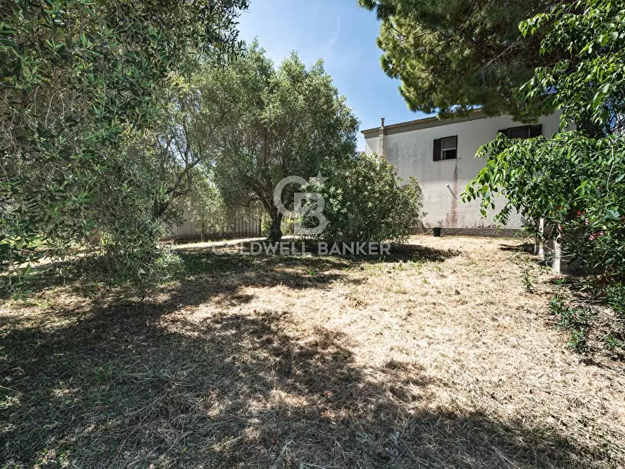 Immagine 34 di Casa indipendente in vendita  in Via San Fortunato 108 a Tarquinia