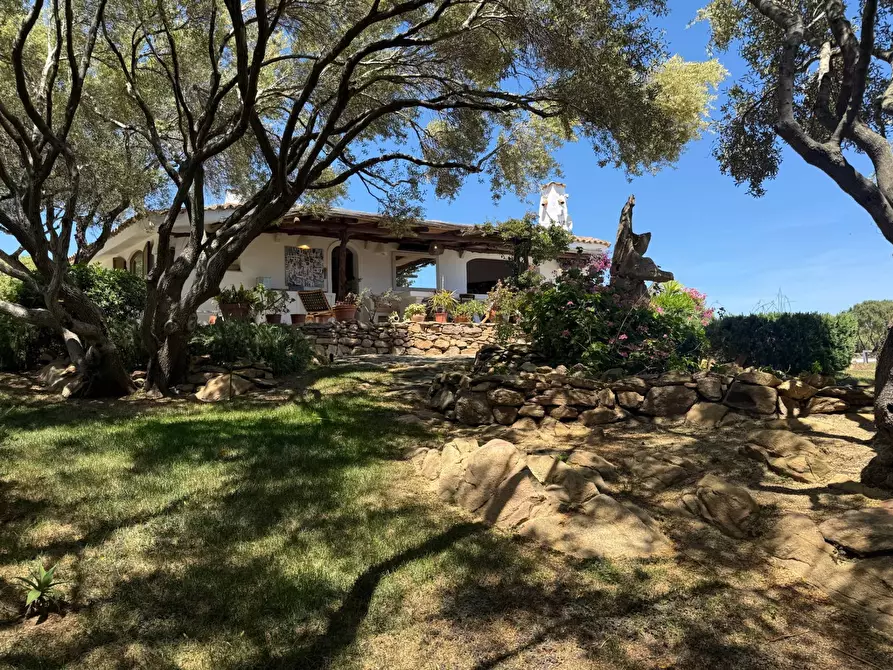 Immagine 35 di Villa in affitto  in via Li Petri a Olbia
