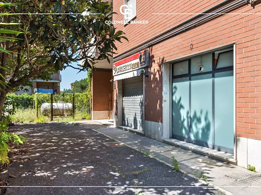 Immagine 13 di Locale commerciale in vendita  in Via Ramo D'Oro 27 a Ariccia