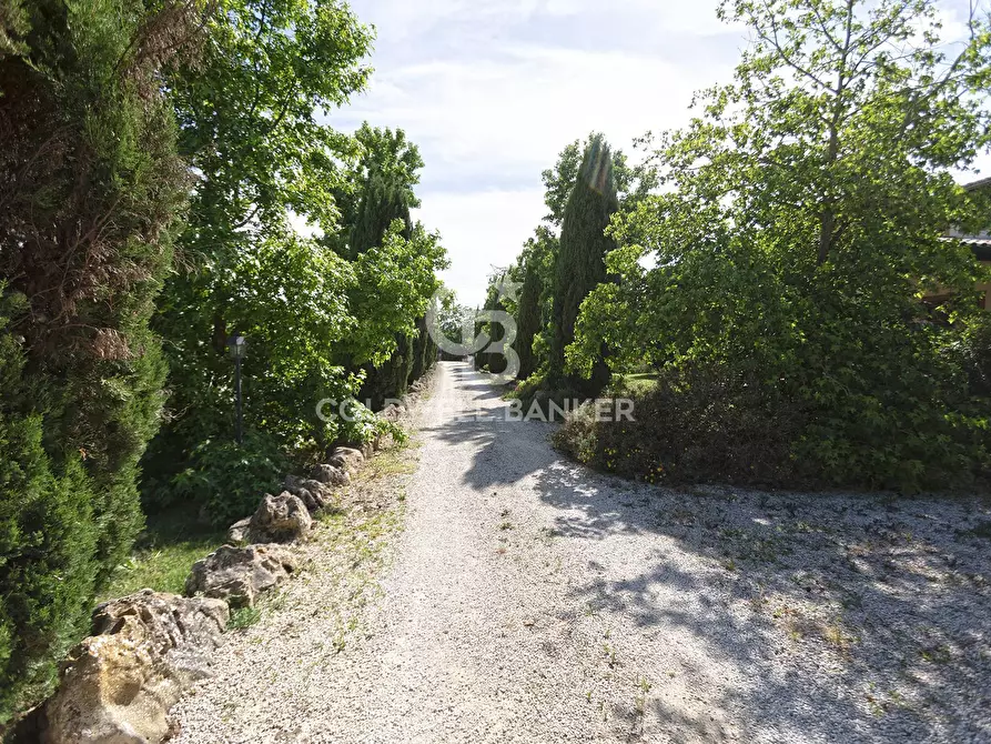 Immagine 4 di Villa in vendita  in Via del Castagno 7 a Manziana