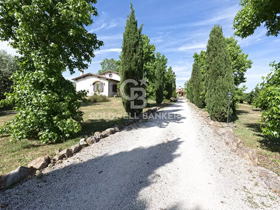 Immagine 44 di Villa in vendita  in Via del Castagno 7 a Manziana