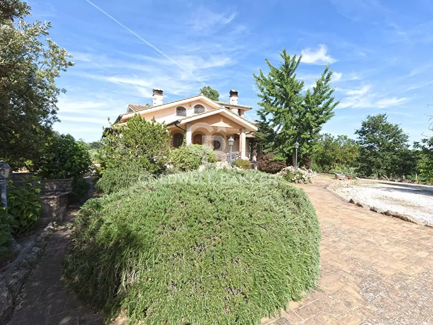 Immagine 5 di Villa in vendita  in Via del Castagno 7 a Manziana