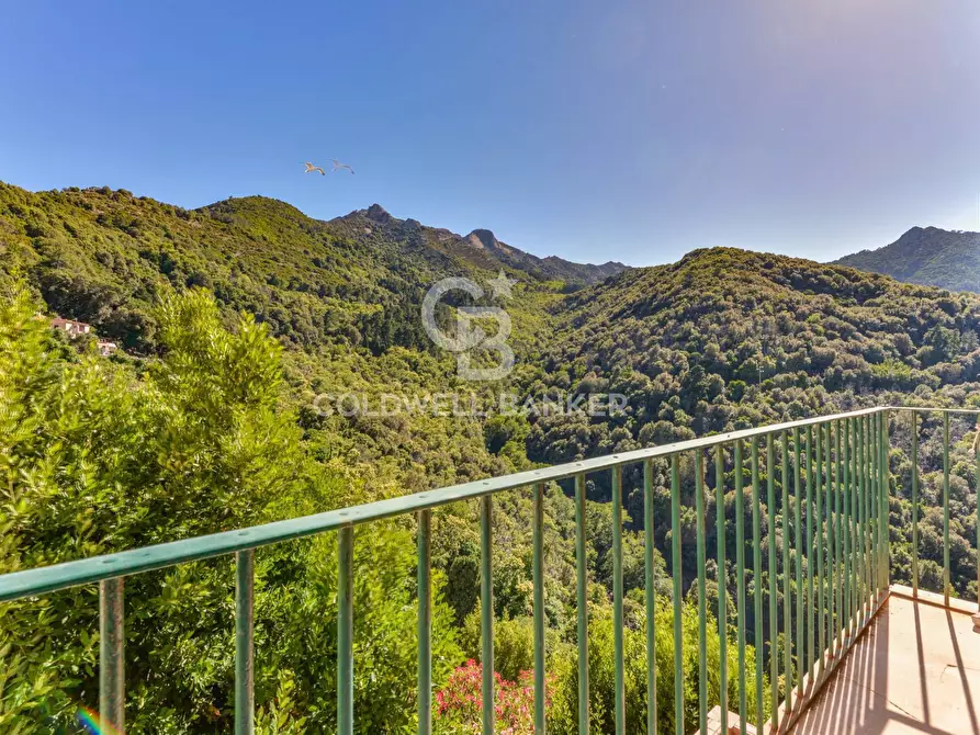 Immagine 2 di Appartamento in vendita  in Via dell'Amore a Marciana