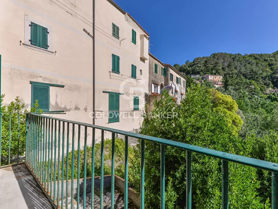 Immagine 4 di Appartamento in vendita  in Via dell'Amore a Marciana