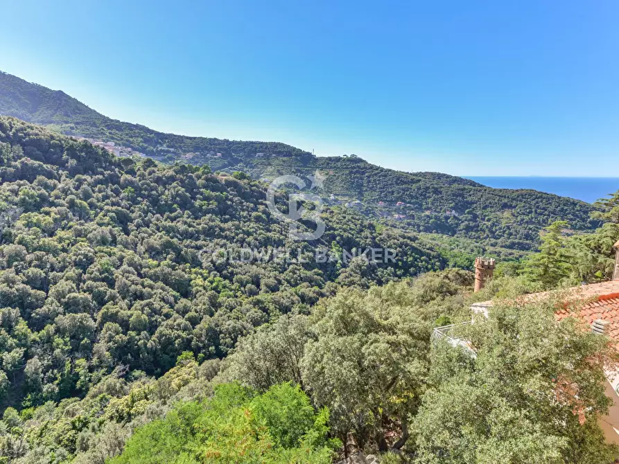 Immagine 14 di Appartamento in vendita  in Via dell'Amore a Marciana