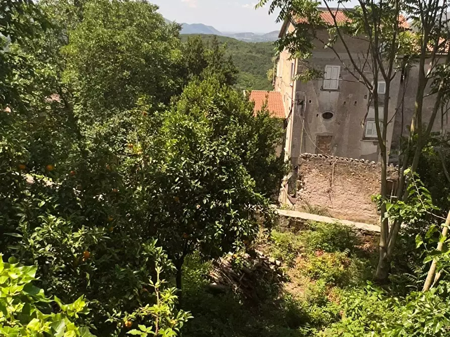 Immagine 3 di Palazzo in vendita  in VIA CASTELLO a Caiazzo
