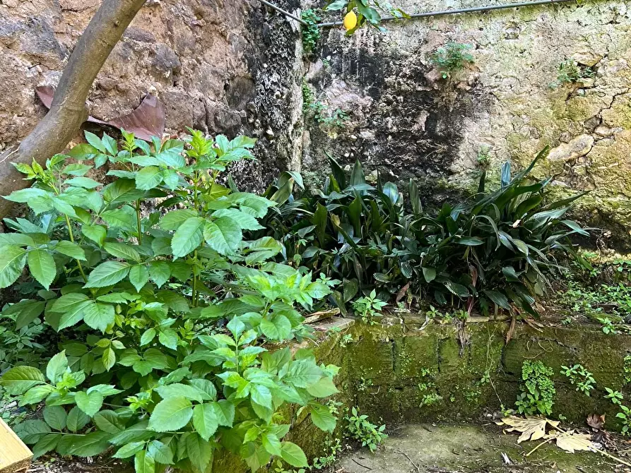 Immagine 6 di Palazzo in vendita  in VIA CASTELLO a Caiazzo