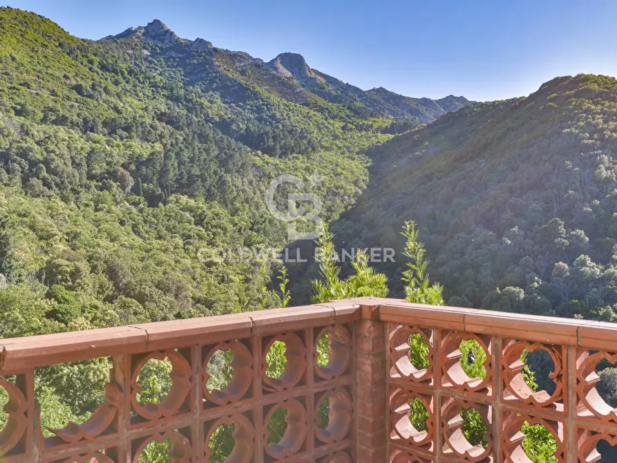 Immagine 16 di Appartamento in vendita  in Via dell'Amore a Marciana