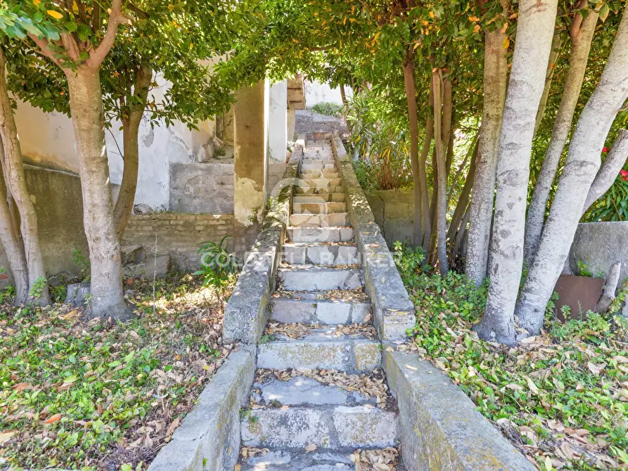 Immagine 38 di Appartamento in vendita  in Via dell'Amore a Marciana