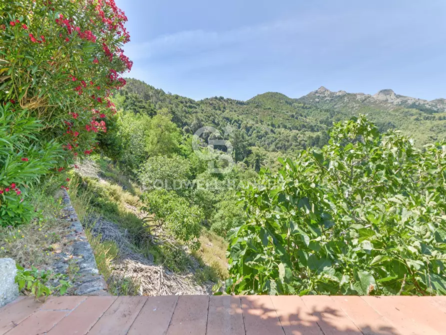 Immagine 41 di Appartamento in vendita  in Via dell'Amore a Marciana