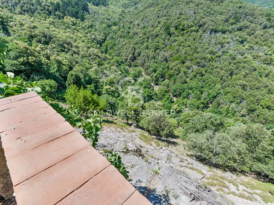 Immagine 42 di Appartamento in vendita  in Via dell'Amore a Marciana