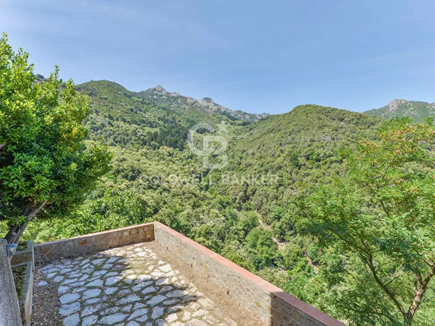 Immagine 8 di Appartamento in vendita  in Via dell'Amore a Marciana