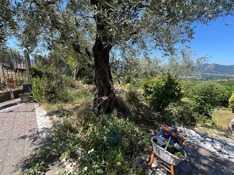 Immagine 4 di Villa in vendita  in VIA PIANA DEL MONDO a Sant'agata De' Goti