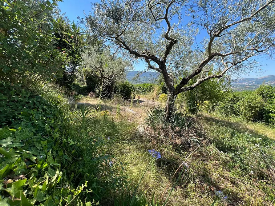 Immagine 2 di Villa in vendita  in VIA PIANA DEL MONDO a Sant'agata De' Goti