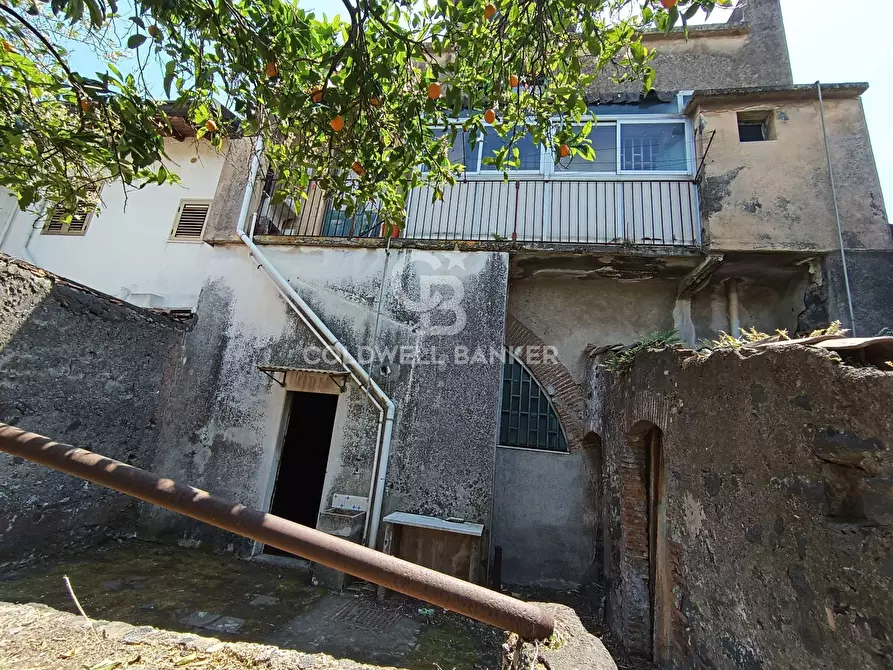 Immagine 5 di Casa indipendente in vendita  in Via Sciarelle 248 a Acireale