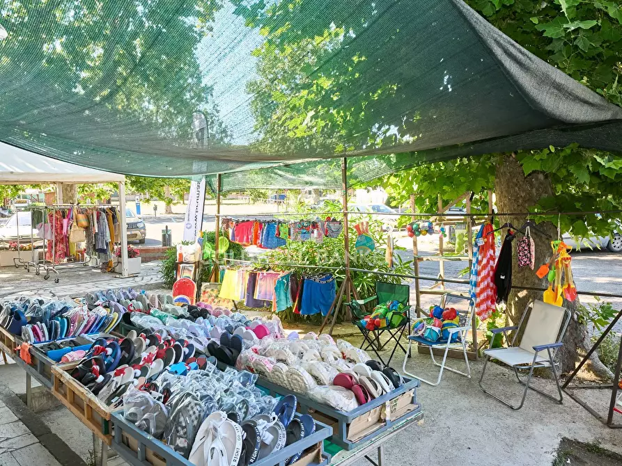 Immagine 14 di Attività commerciale in vendita  in Viale dei Tritoni 52 a Tarquinia