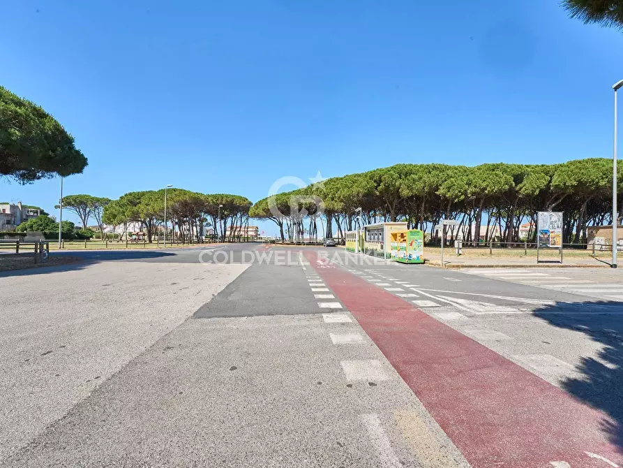 Immagine 6 di Locale commerciale in vendita  in Viale dei Navigatori a Tarquinia