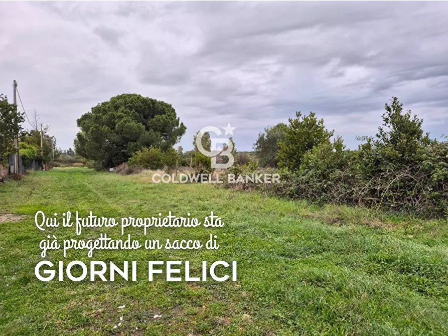 Immagine 1 di Terreno agricolo in vendita  in Località San Giorgio Snc a Tarquinia