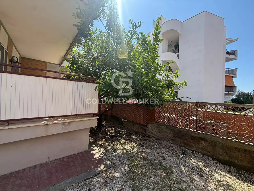 Immagine 14 di Appartamento in affitto  in Via Monte Cima 8 a Santa Marinella