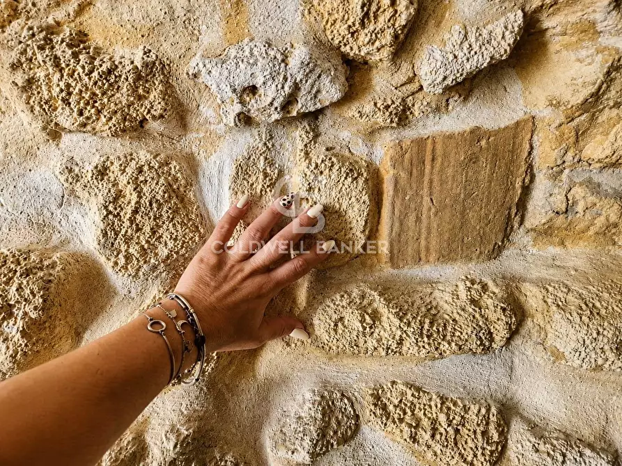 Immagine 8 di Casa semindipendente in vendita  in Via XX Settembre 51 a Tarquinia