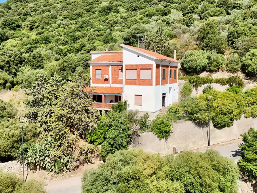 Immagine 4 di Appartamento in vendita  in via San Sisto 17 a Berchidda