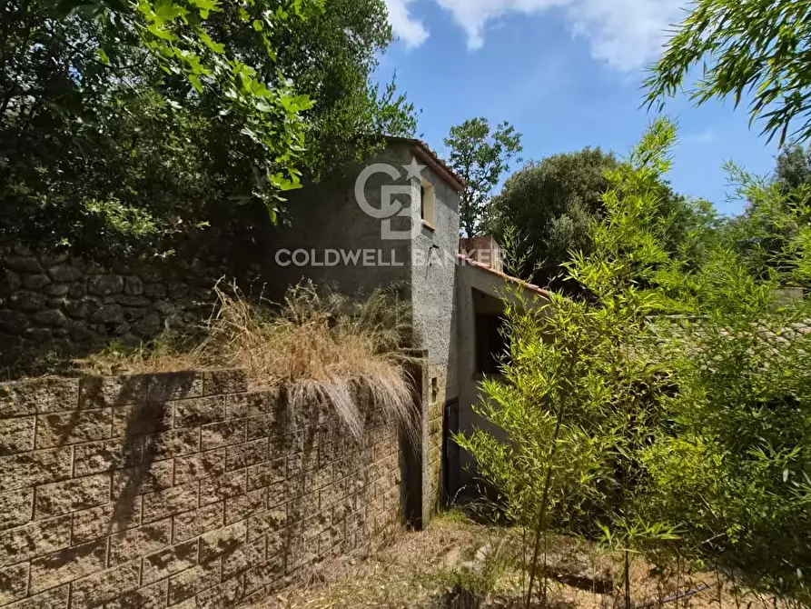 Immagine 8 di Rustico / casale in vendita  in Via dell'Accolta a Campo Nell'elba