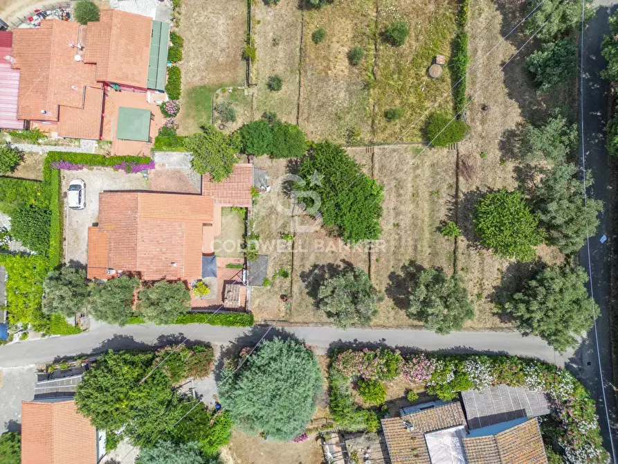 Immagine 5 di Villa in vendita  in Via di Lavacchio a Marciana