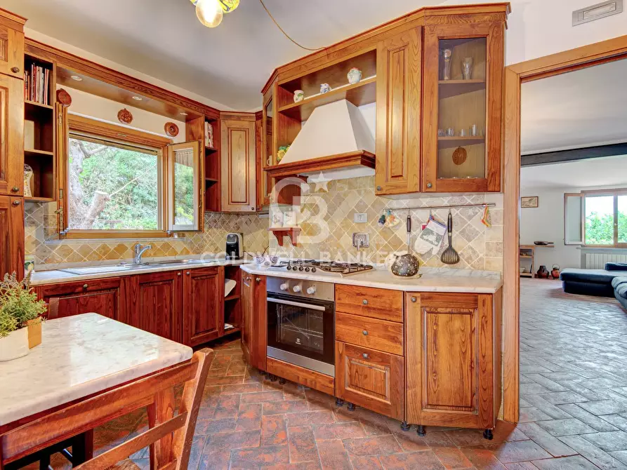 Immagine 11 di Villa in vendita  in Via di Lavacchio a Marciana