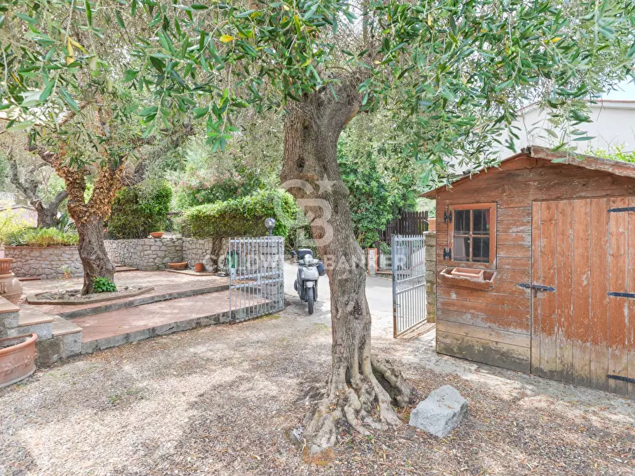 Immagine 31 di Villa in vendita  in Via di Lavacchio a Marciana