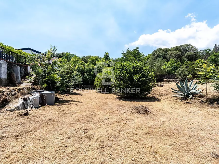 Immagine 2 di Terreno agricolo in vendita  in Via dei Garofani 10 a Zafferana Etnea