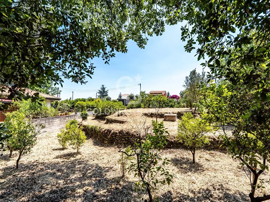 Immagine 9 di Terreno agricolo in vendita  in Via dei Garofani 10 a Zafferana Etnea