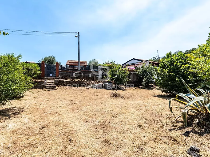 Immagine 10 di Terreno agricolo in vendita  in Via dei Garofani 10 a Zafferana Etnea
