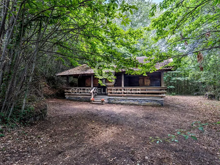 Immagine 2 di Villa in vendita  in Via Dottore Giuseppe Zappalà 196 a Trecastagni