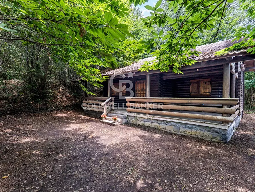 Immagine 3 di Villa in vendita  in Via Dottore Giuseppe Zappalà 196 a Trecastagni