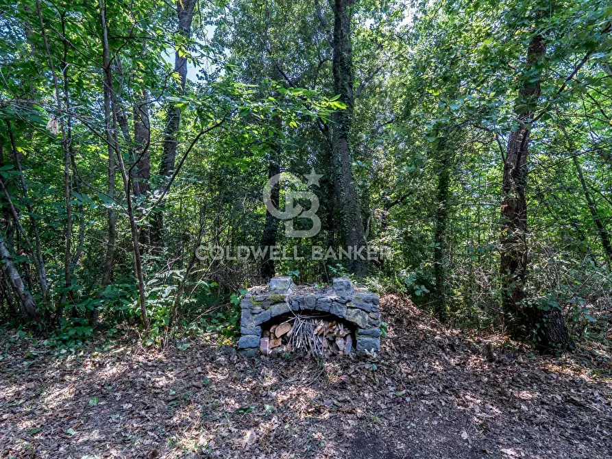 Immagine 12 di Villa in vendita  in Via Dottore Giuseppe Zappalà 196 a Trecastagni