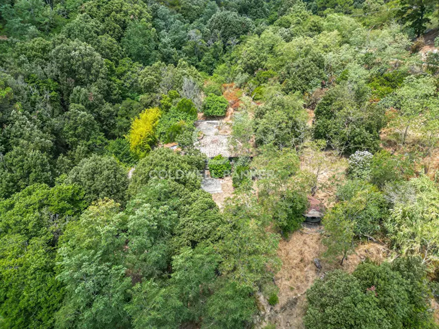 Immagine 18 di Rustico / casale in vendita  in Via dell'Accolta a Campo Nell'elba