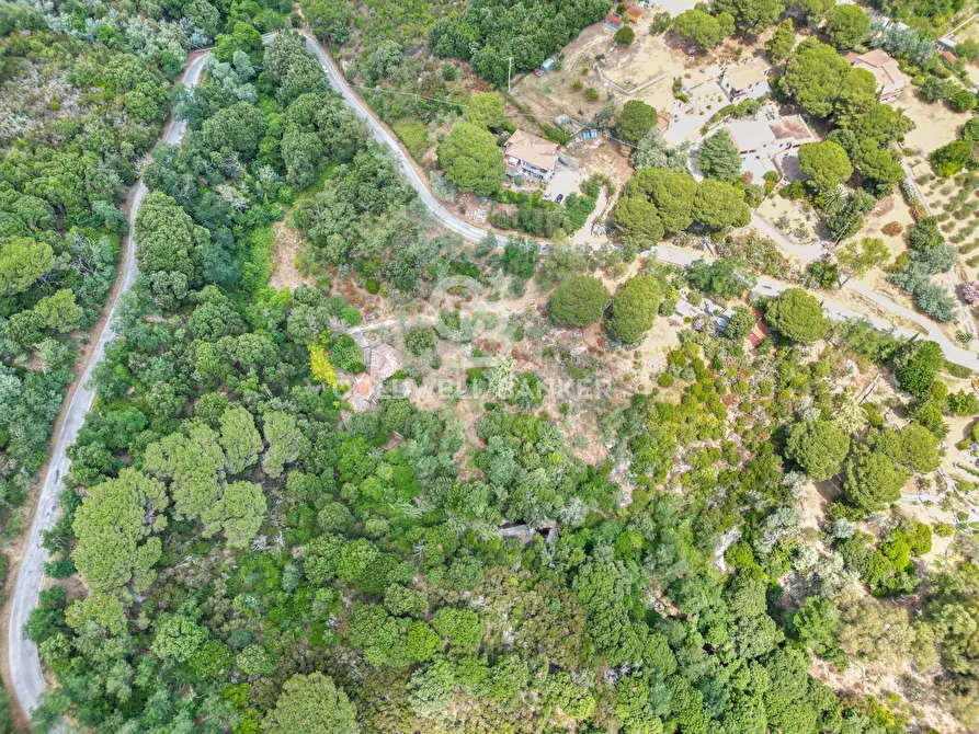 Immagine 19 di Rustico / casale in vendita  in Via dell'Accolta a Campo Nell'elba