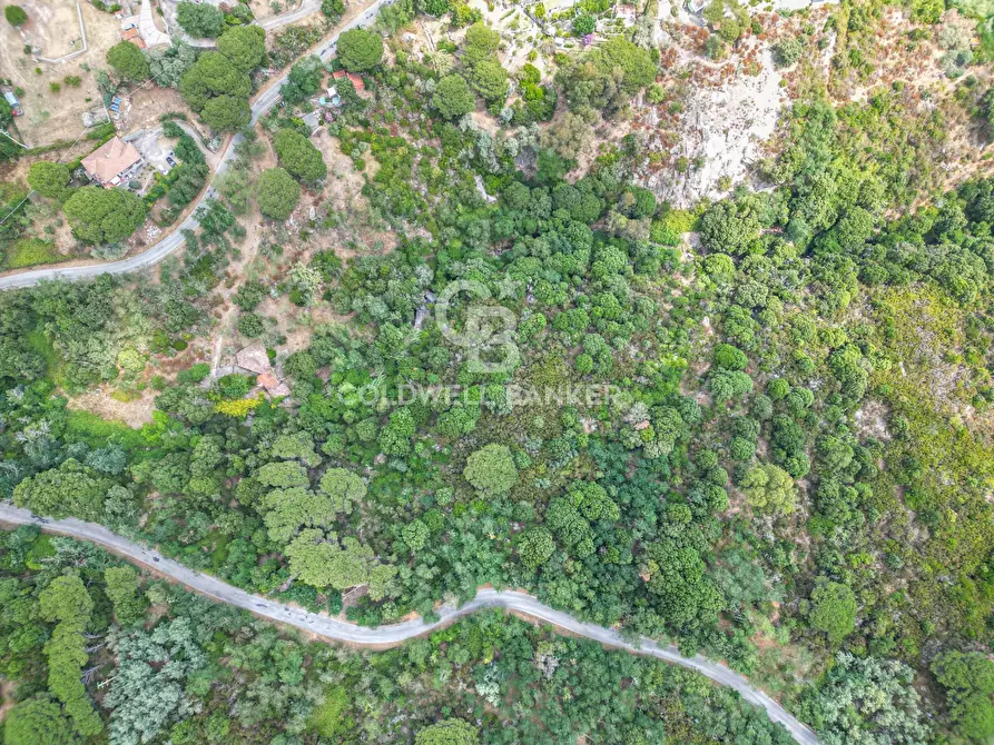 Immagine 4 di Rustico / casale in vendita  in Via dell'Accolta a Campo Nell'elba