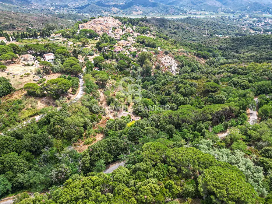 Immagine 6 di Rustico / casale in vendita  in Via dell'Accolta a Campo Nell'elba
