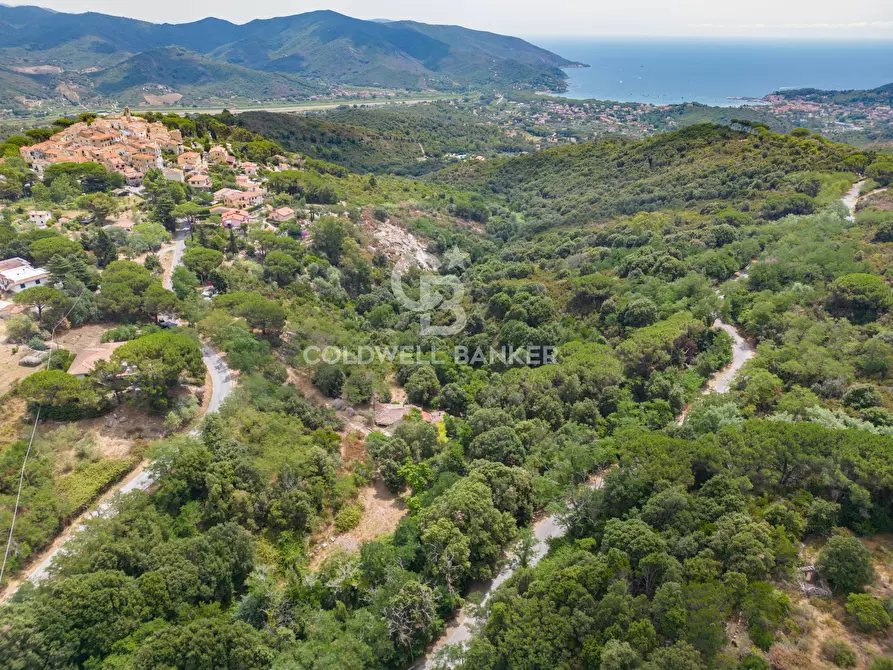 Immagine 3 di Rustico / casale in vendita  in Via dell'Accolta a Campo Nell'elba