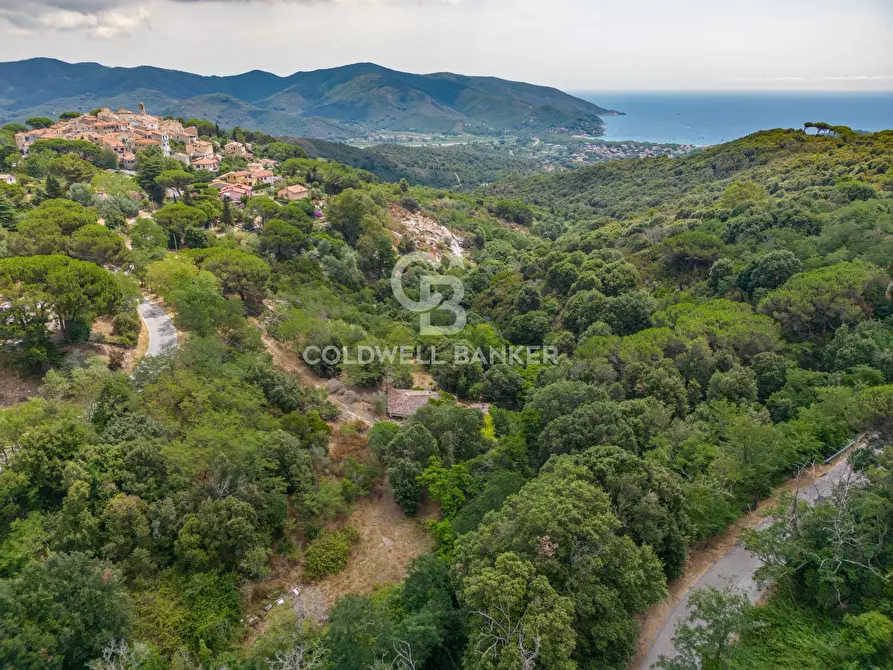 Immagine 9 di Rustico / casale in vendita  in Via dell'Accolta a Campo Nell'elba