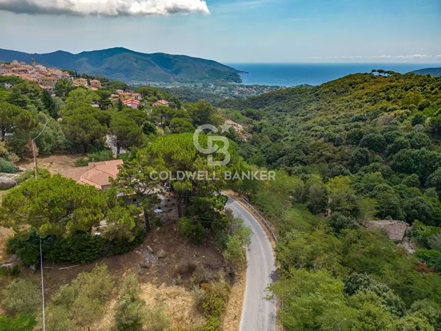 Immagine 17 di Rustico / casale in vendita  in Via dell'Accolta a Campo Nell'elba