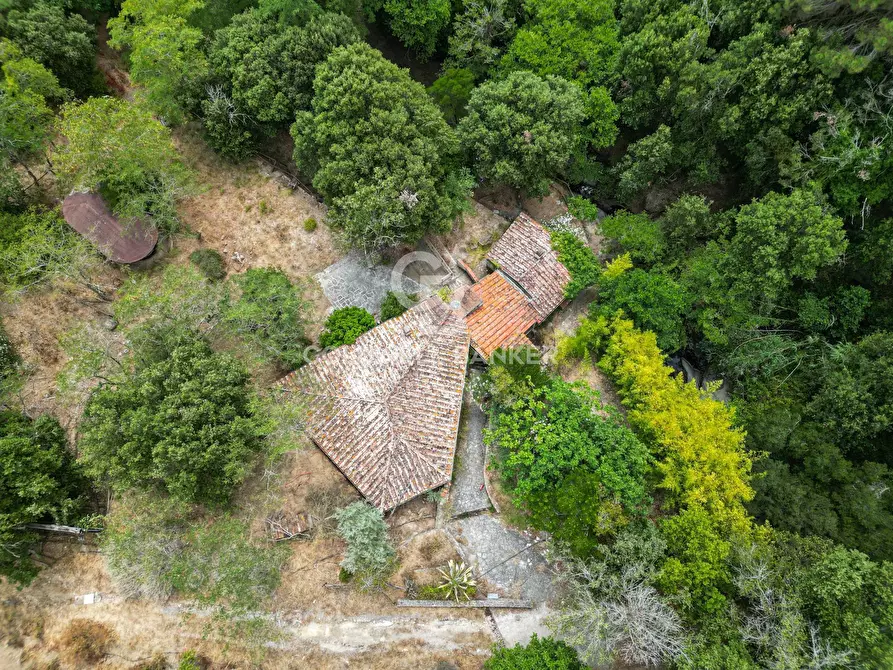 Immagine 11 di Rustico / casale in vendita  in Via dell'Accolta a Campo Nell'elba