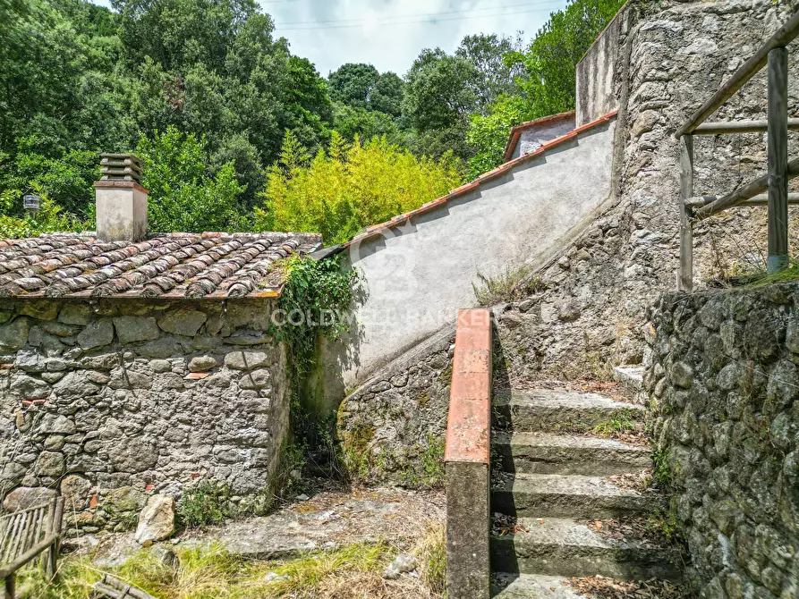 Immagine 7 di Rustico / casale in vendita  in Via dell'Accolta a Campo Nell'elba